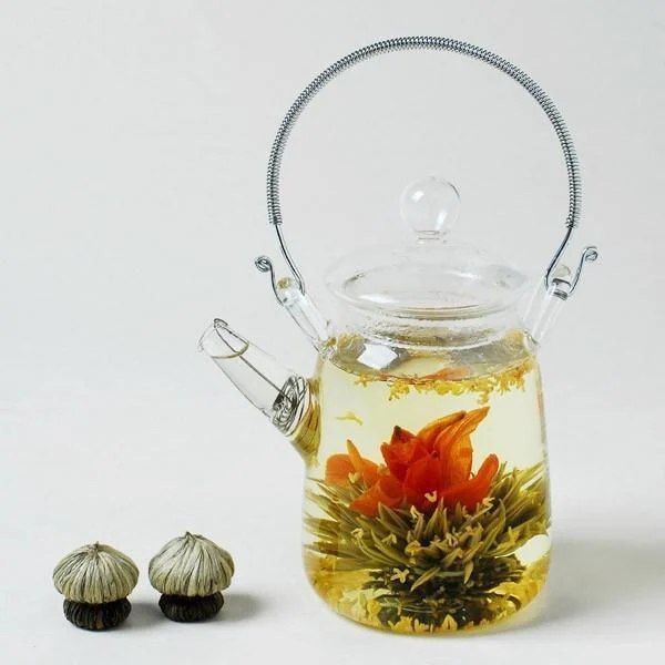 6 Oriental Blooming Teas + Teapot - Glova