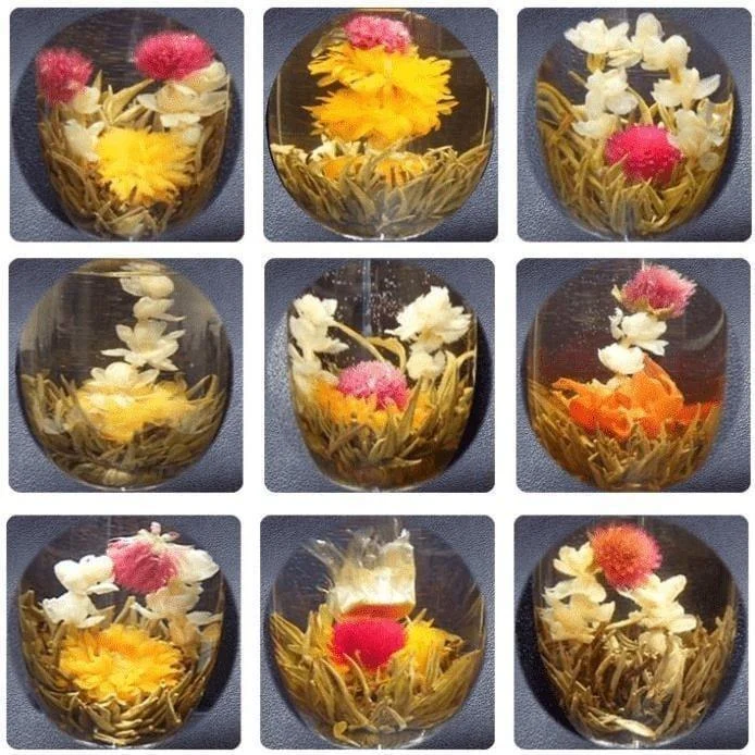 6 Oriental Blooming Teas + Teapot - Glova