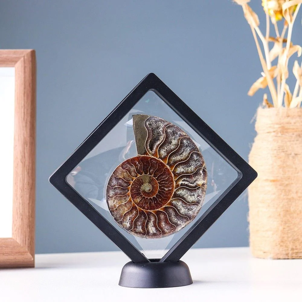 Ammonite Fossil Crystal Ornament - Glova