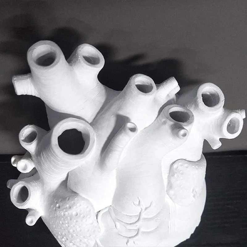 Anatomical Heart Vase - Glova