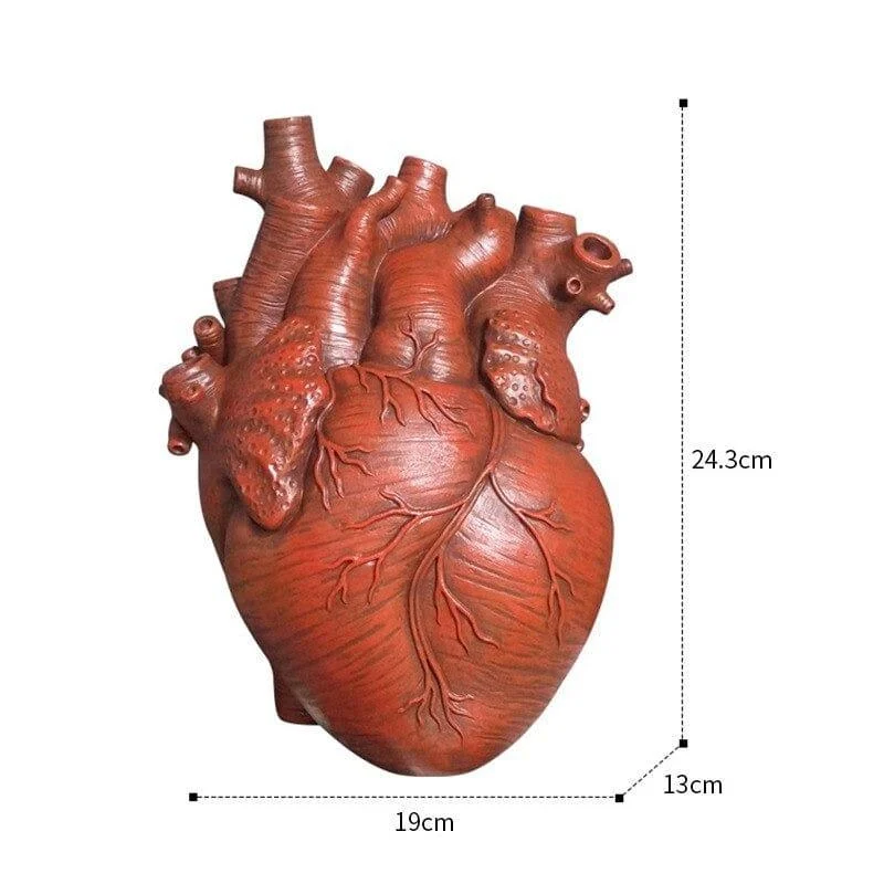 Anatomical Heart Vase - Glova