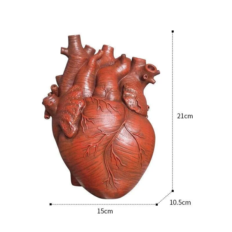 Anatomical Heart Vase - Glova