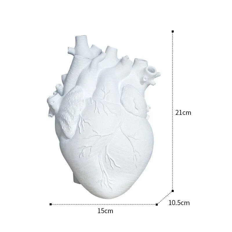 Anatomical Heart Vase - Glova