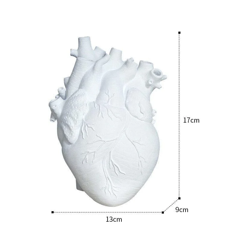 Anatomical Heart Vase - Glova