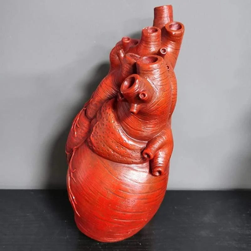 Anatomical Heart Vase - Glova