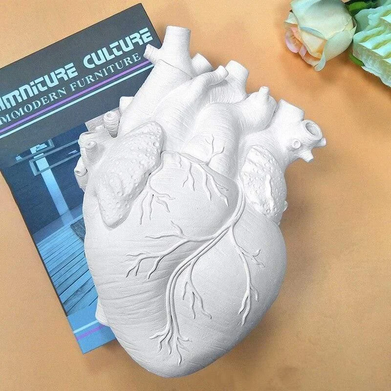 Anatomical Heart Vase - Glova