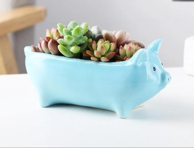 Animal Shaped Mini Pots - Glova