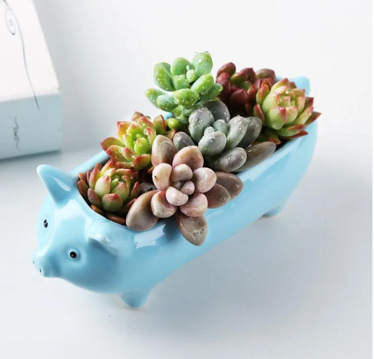 Animal Shaped Mini Pots - Glova