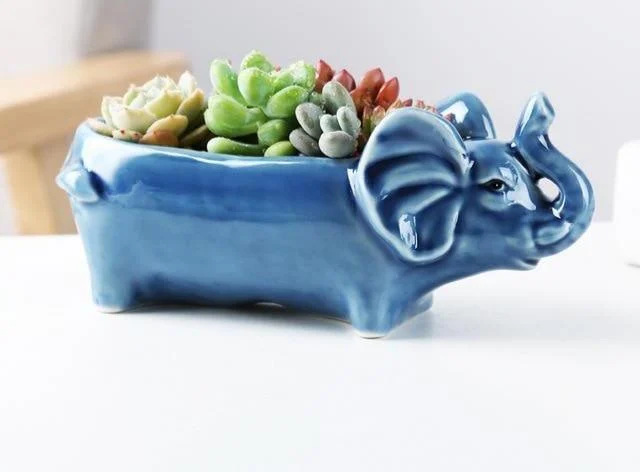 Animal Shaped Mini Pots - Glova