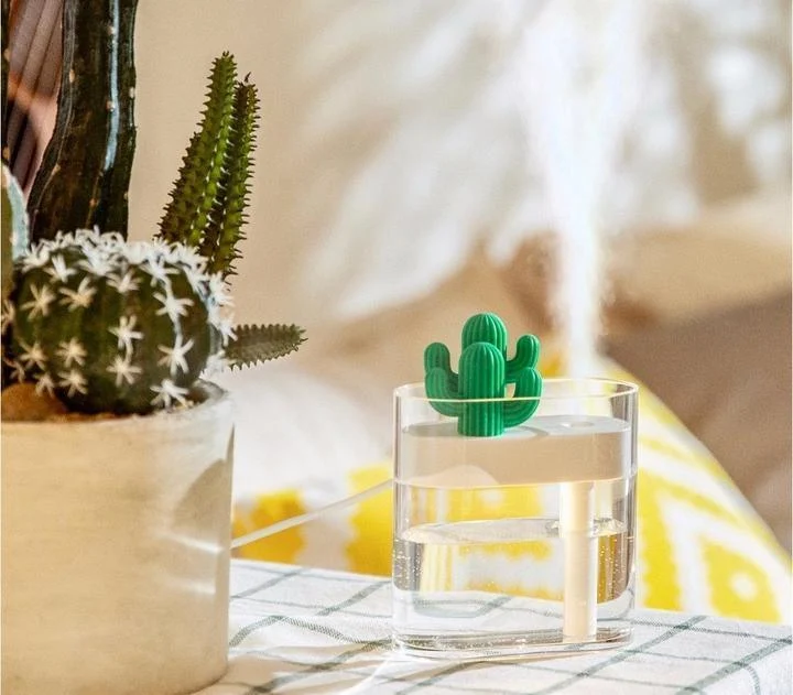 Cacti Mini Diffuser + Humidifier - Glova