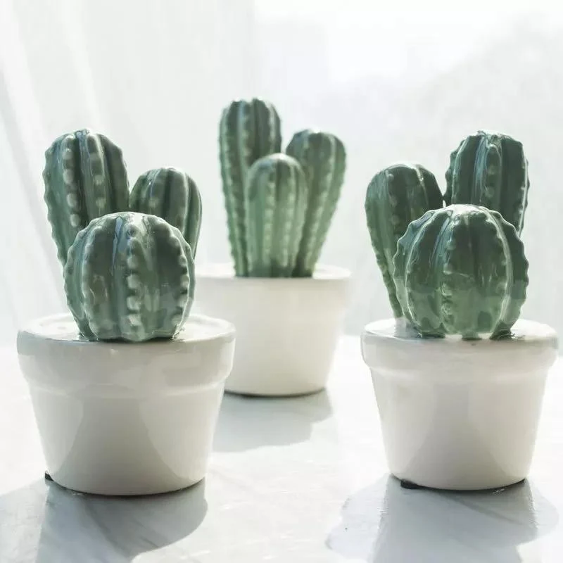 Cactus Pot Decor - Glova