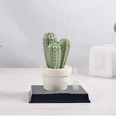 Cactus Pot Decor - Glova