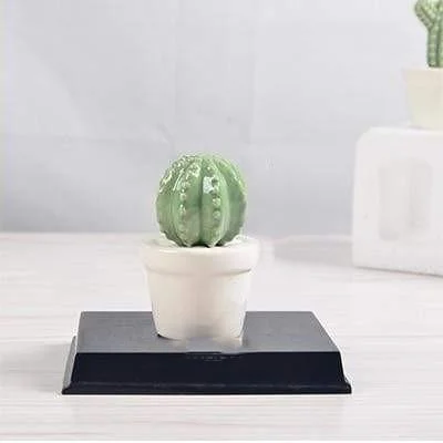 Cactus Pot Decor - Glova