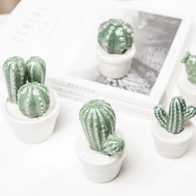 Cactus Pot Decor - Glova