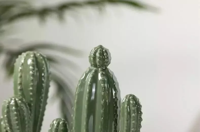 Cactus Pot Decor - Glova