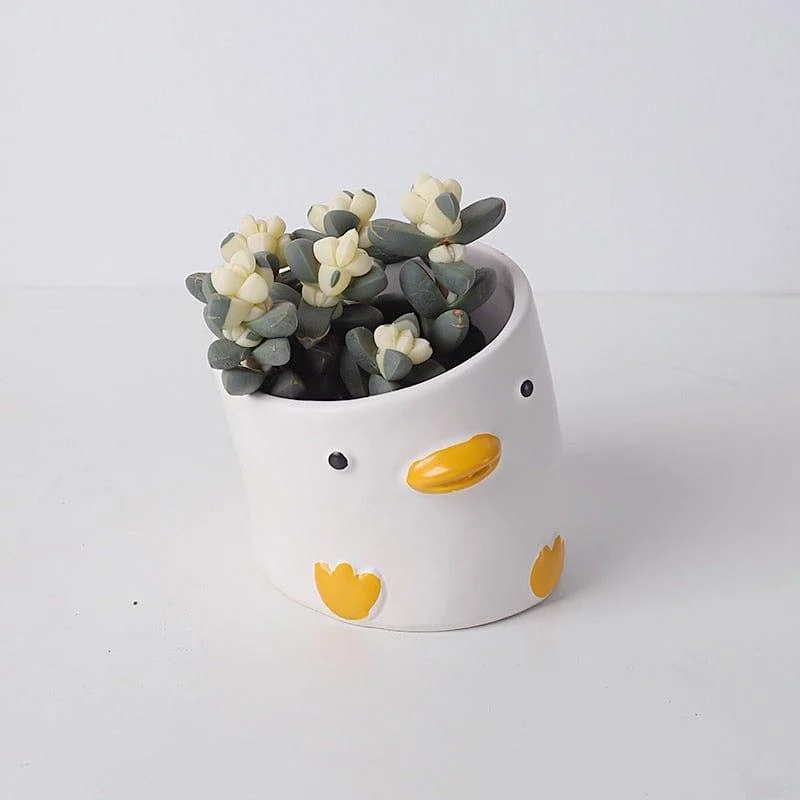 Cartoon Animal Flower Pot - Glova