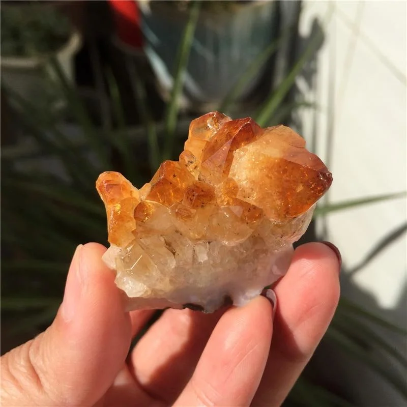 Citrine Quartz Crystal Cluster - Glova