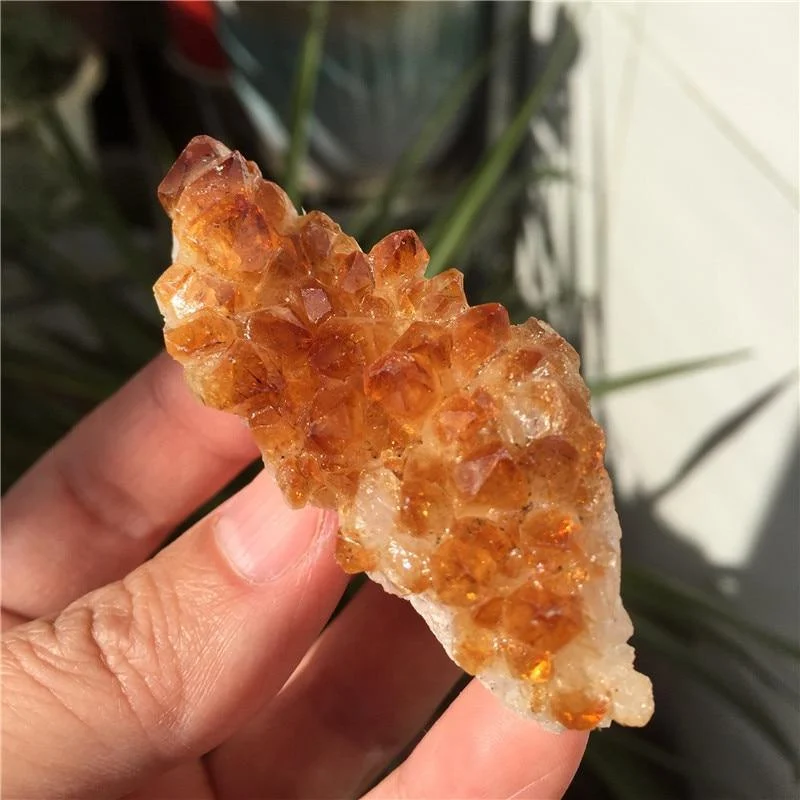 Citrine Quartz Crystal Cluster - Glova