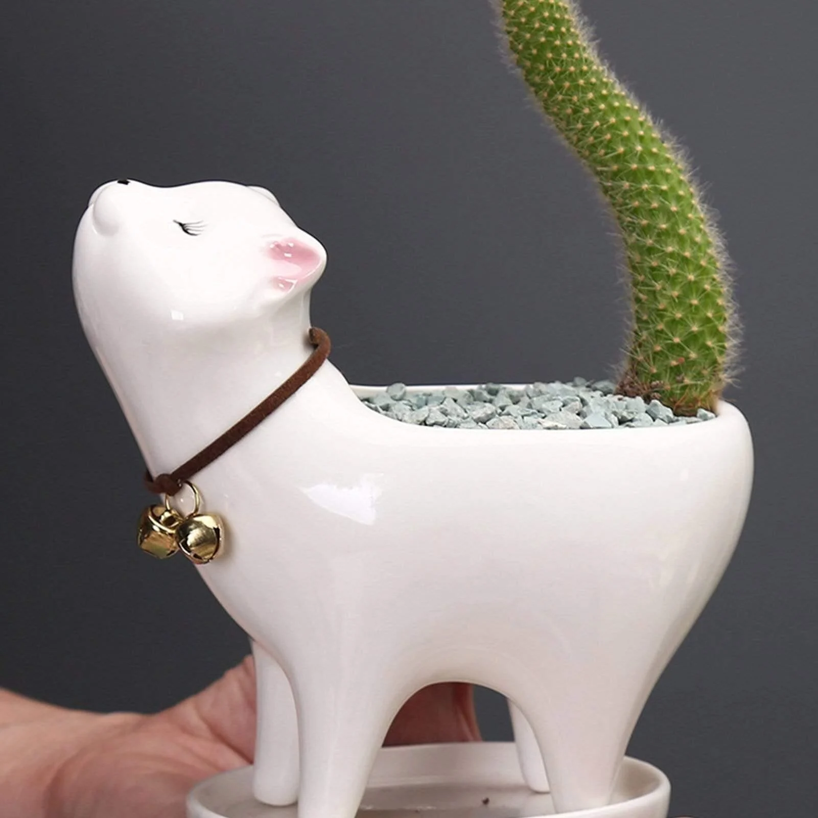 Cute Cat Planter Pot - Glova