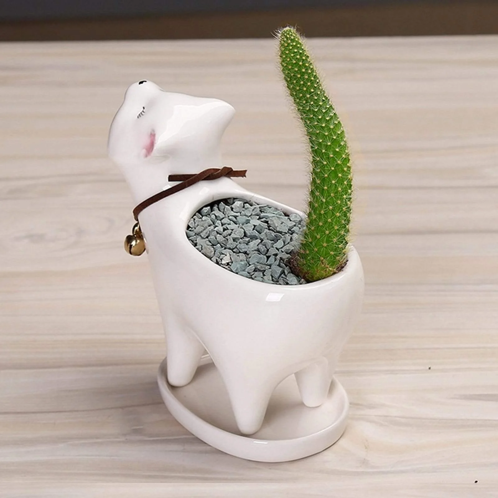 Cute Cat Planter Pot - Glova