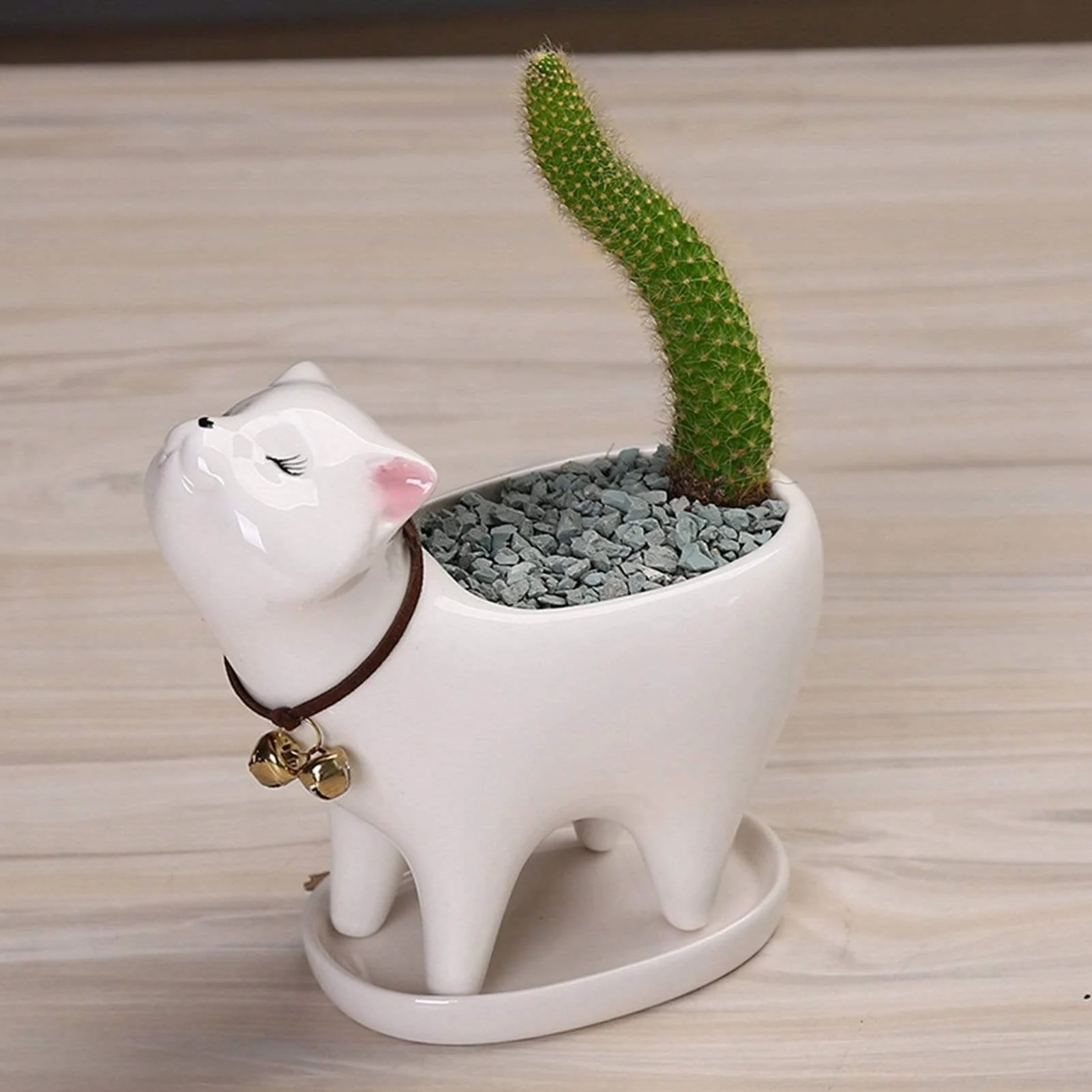 Cute Cat Planter Pot - Glova