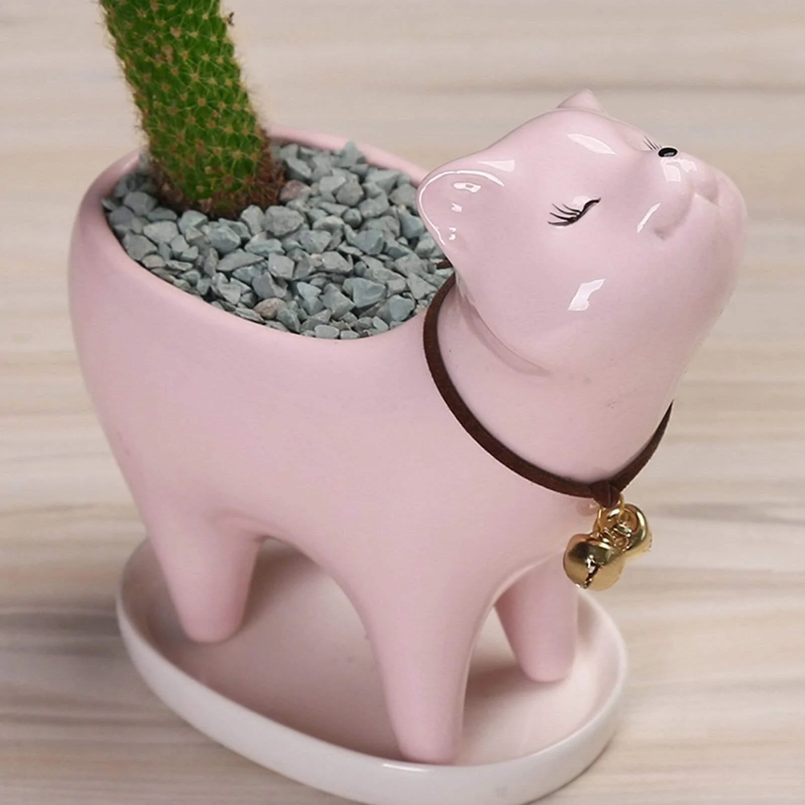 Cute Cat Planter Pot - Glova