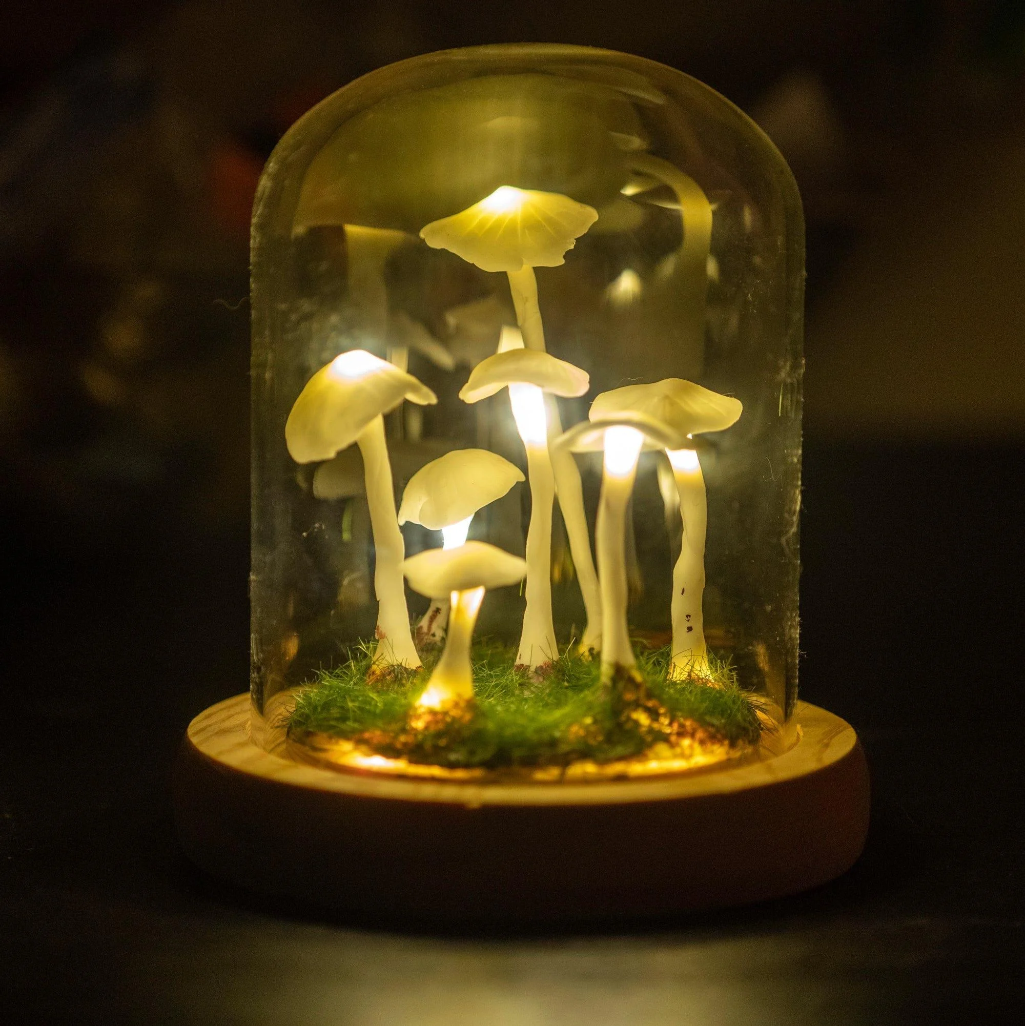 DIY Enchanted Mushroom Forest Lamp - Glova