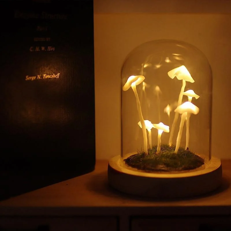 DIY Enchanted Mushroom Forest Lamp - Glova