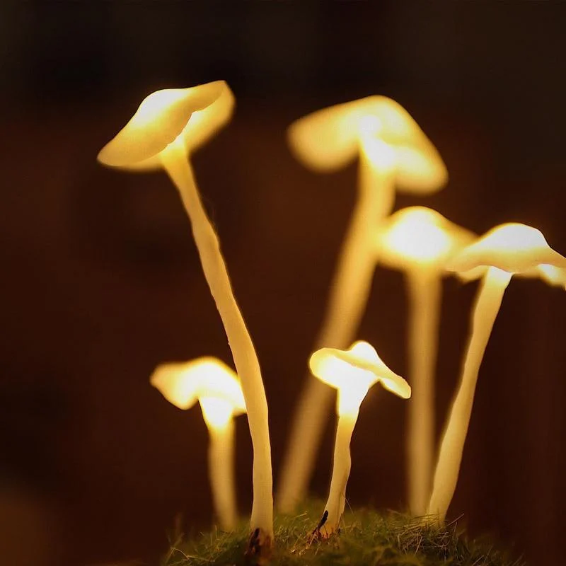 DIY Enchanted Mushroom Forest Lamp - Glova