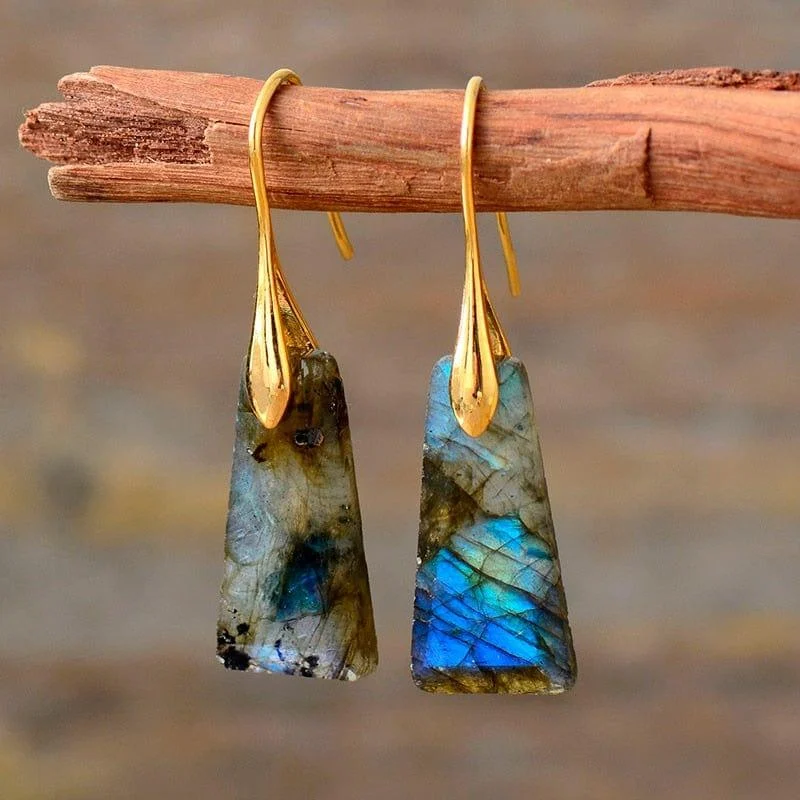 Earth Stone Dangle Earrings - Glova