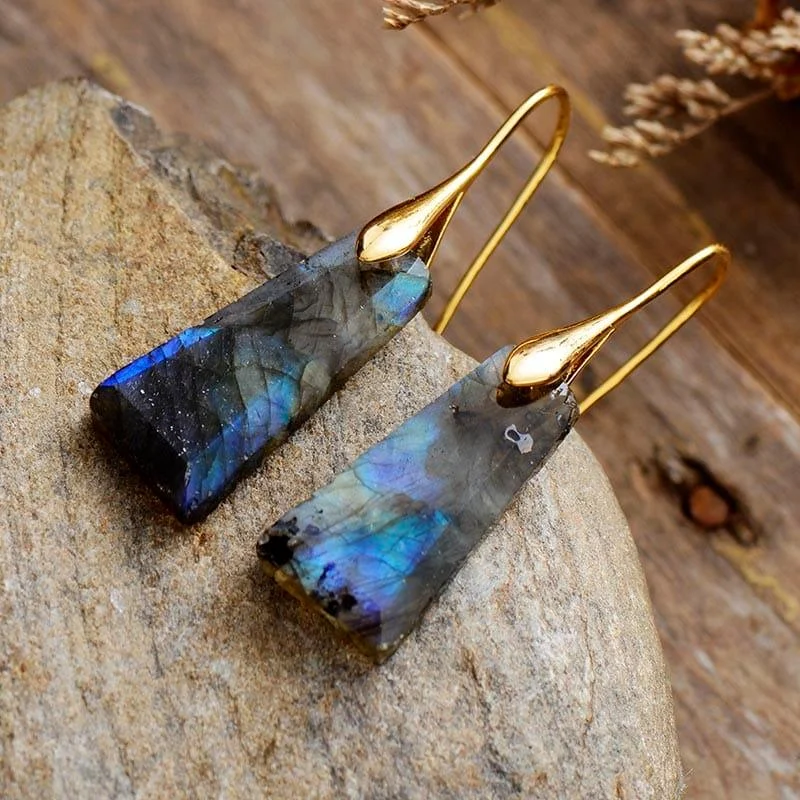 Earth Stone Dangle Earrings - Glova