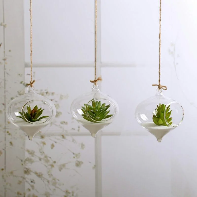 Glass Hanging Terrarium - Glova