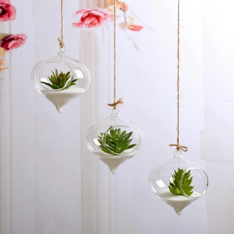 Glass Hanging Terrarium - Glova