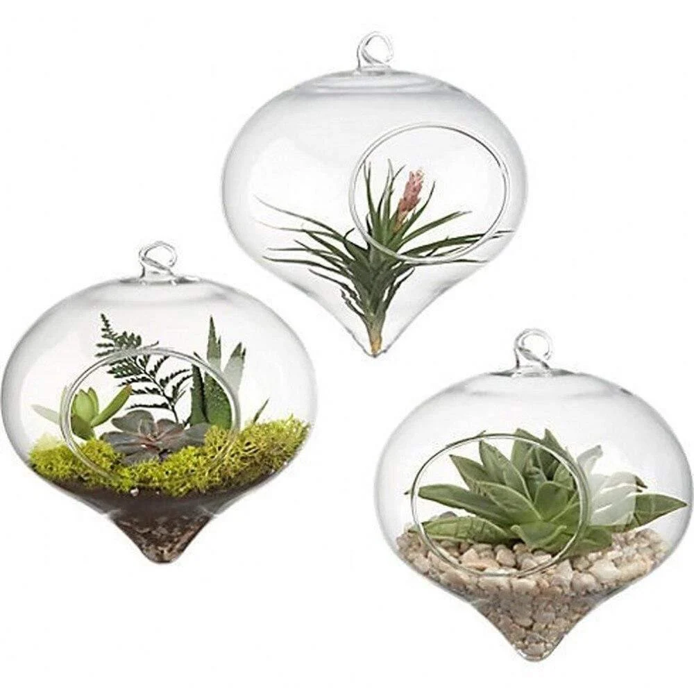 Glass Hanging Terrarium - Glova