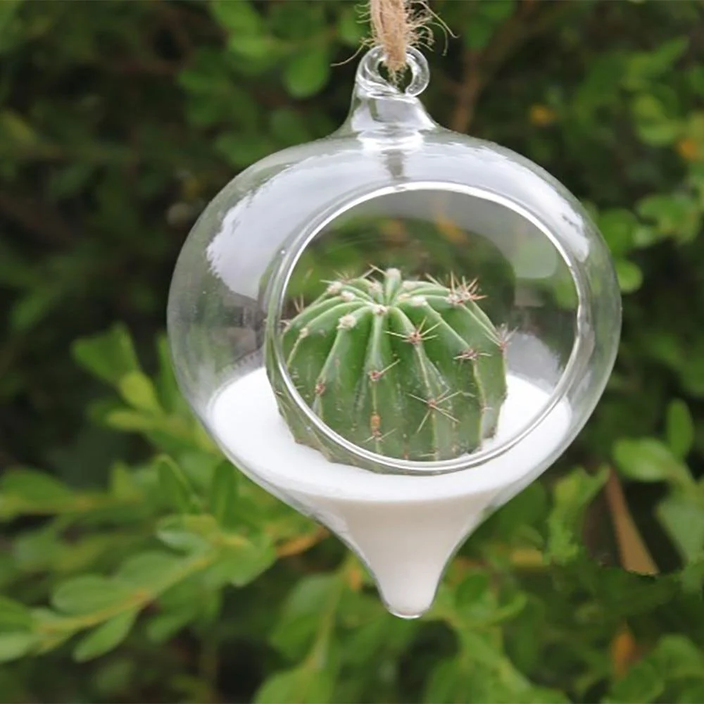 Glass Hanging Terrarium - Glova