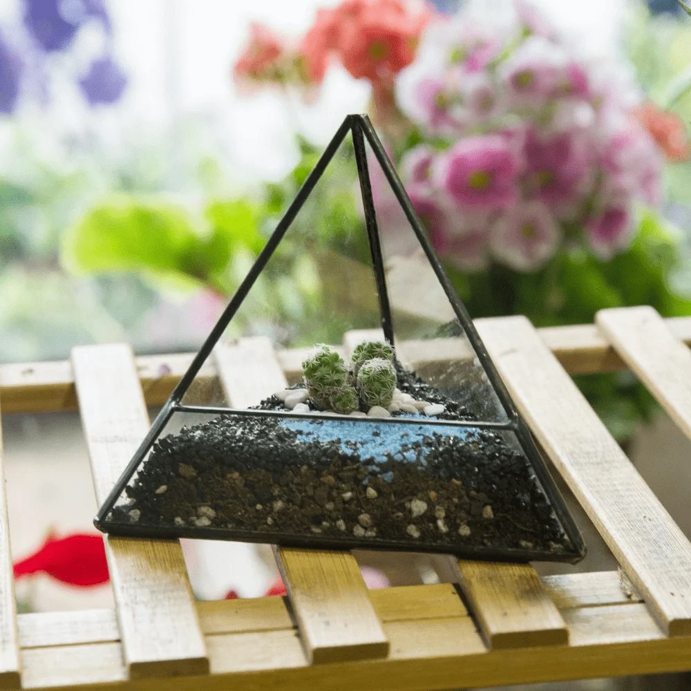 Glass Pyramid Plant Terrarium - Glova