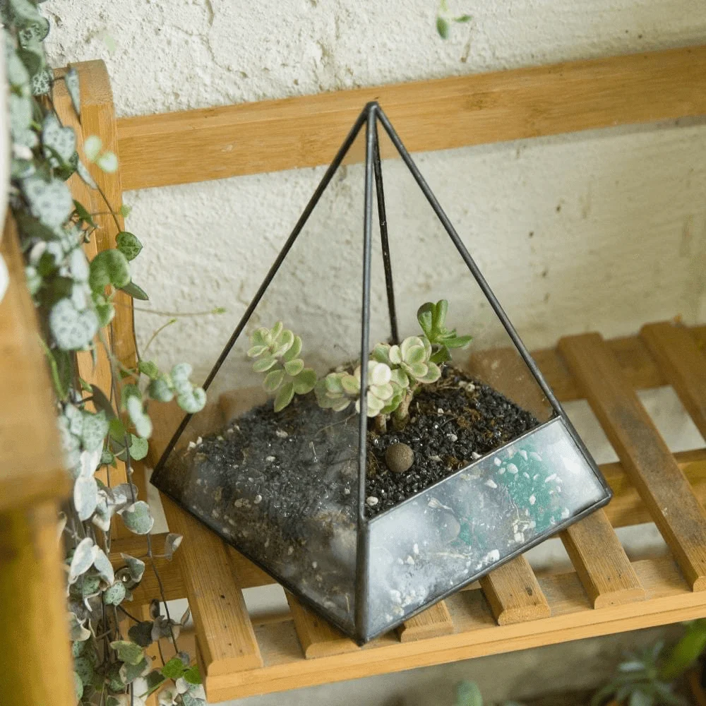 Glass Pyramid Plant Terrarium - Glova