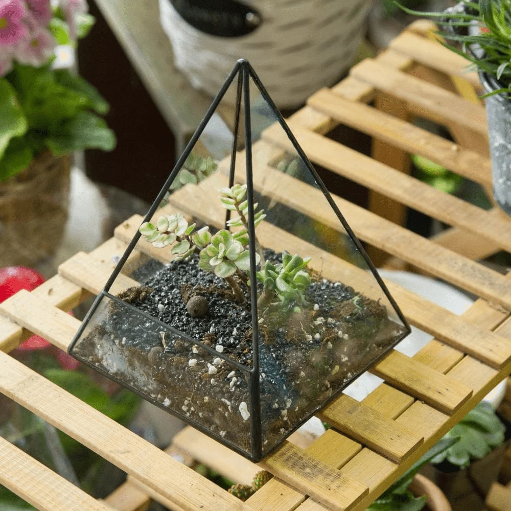 Glass Pyramid Plant Terrarium - Glova