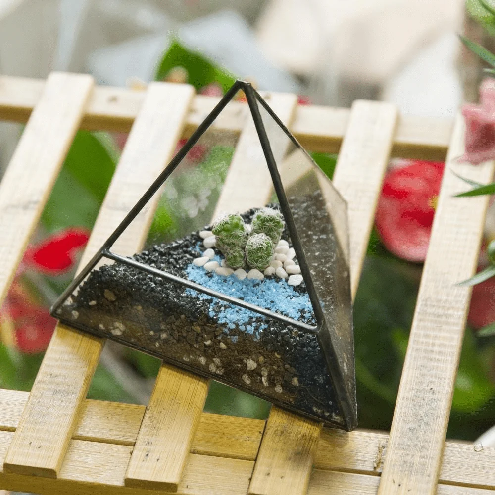 Glass Pyramid Plant Terrarium - Glova