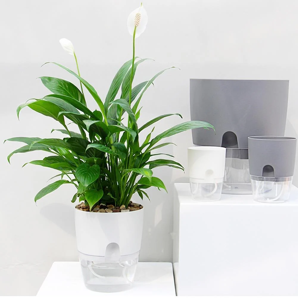 Hydroponic Flowerpot - Glova