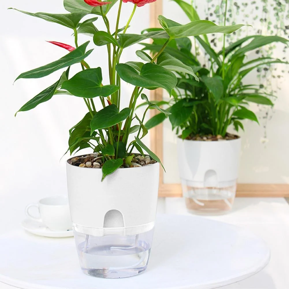 Hydroponic Flowerpot - Glova