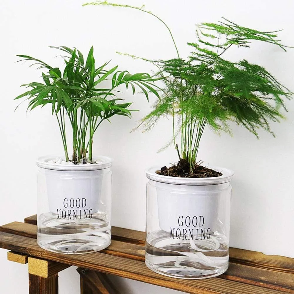 Hydroponic Lazy Self-Watering Flowerpot - Glova