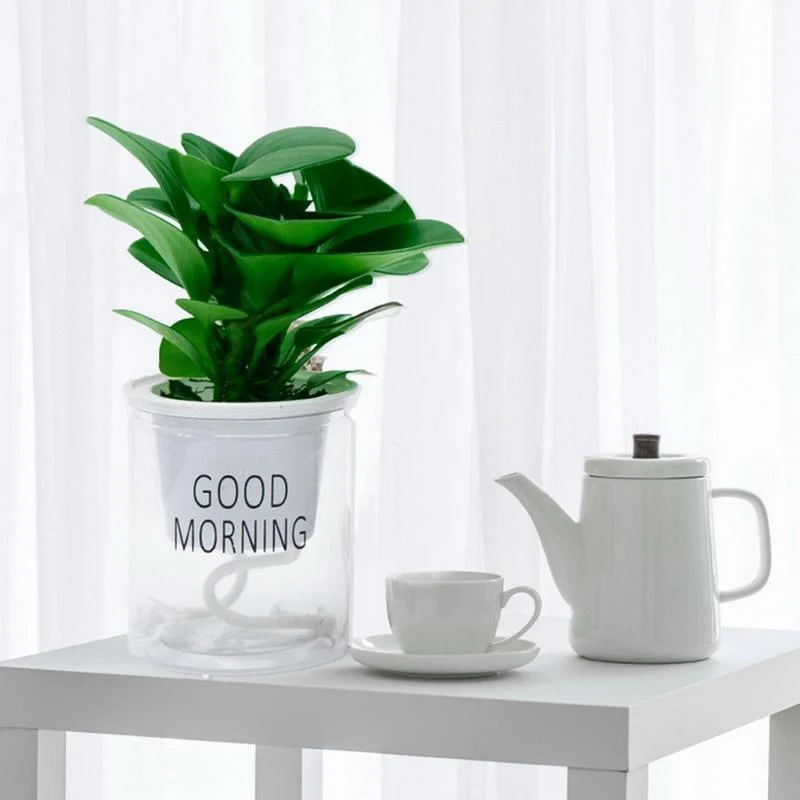 Hydroponic Lazy Self-Watering Flowerpot - Glova