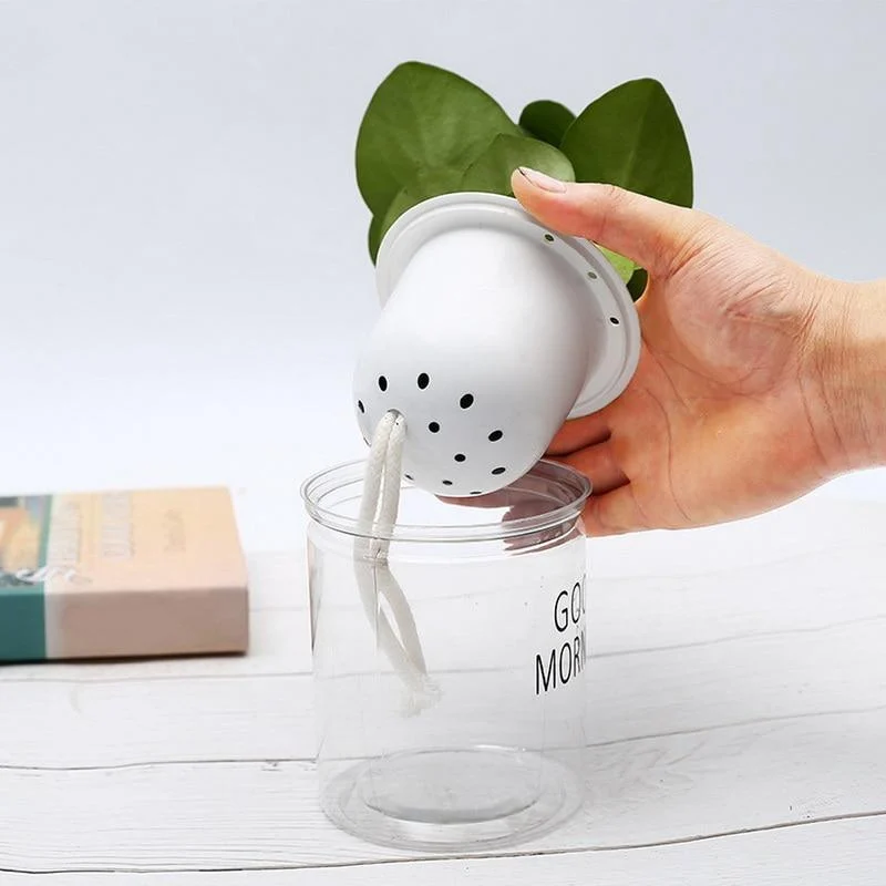 Hydroponic Lazy Self-Watering Flowerpot - Glova