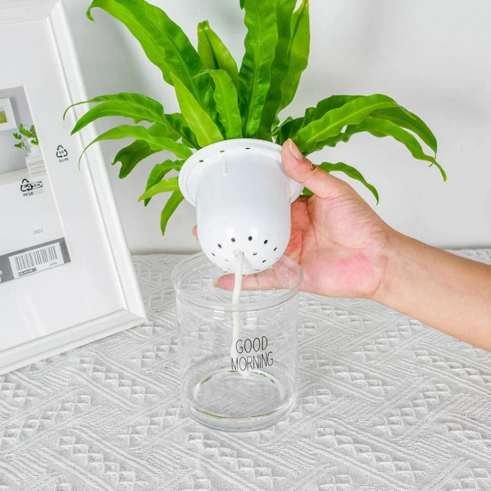 Hydroponic Lazy Self-Watering Flowerpot - Glova