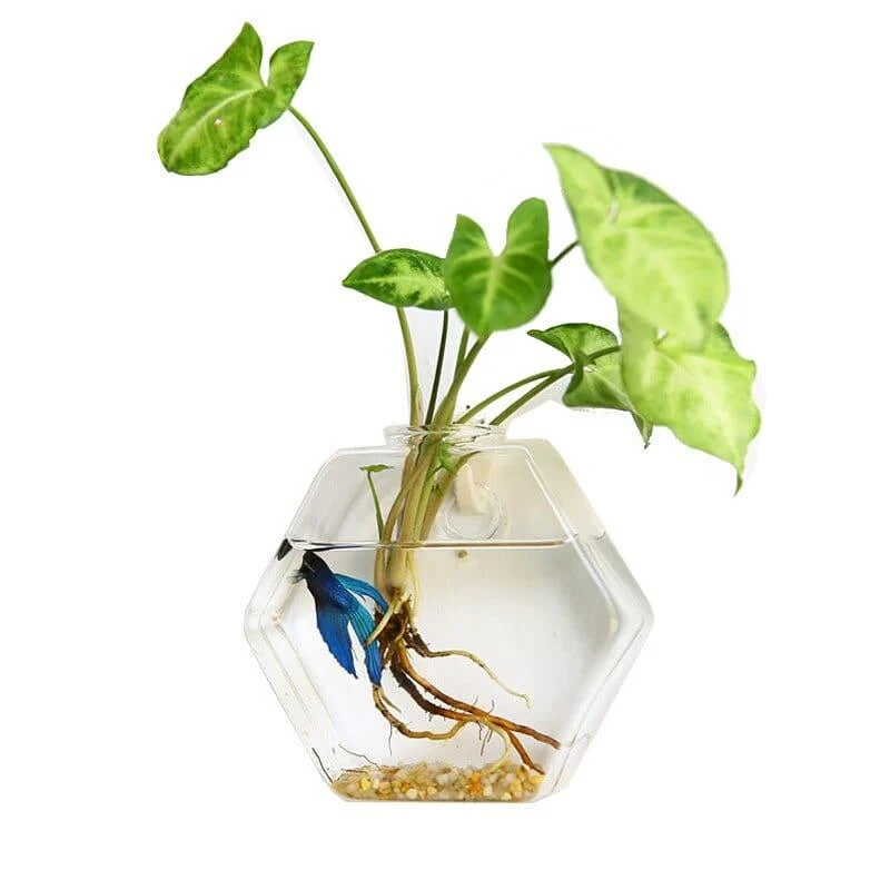 Hydroponic Wall Mounted Vases - Glova