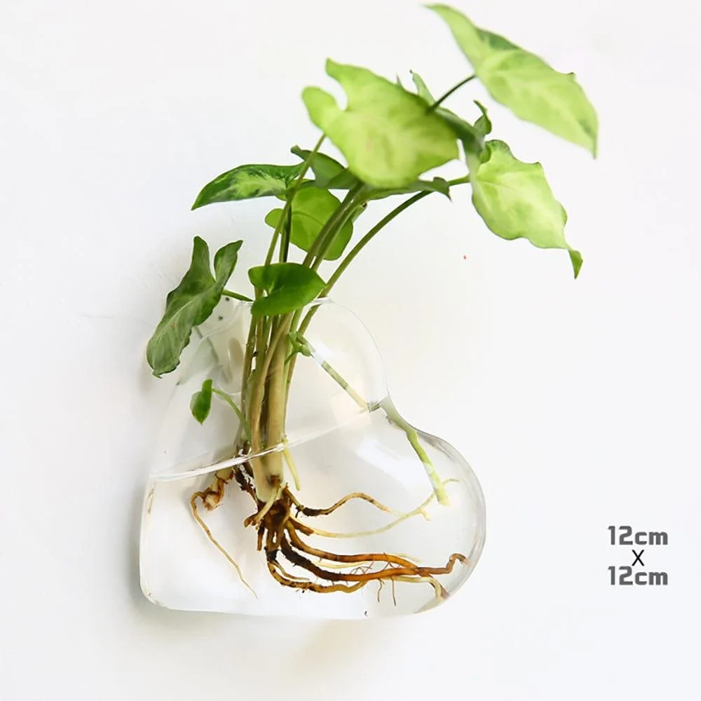 Hydroponic Wall Mounted Vases - Glova