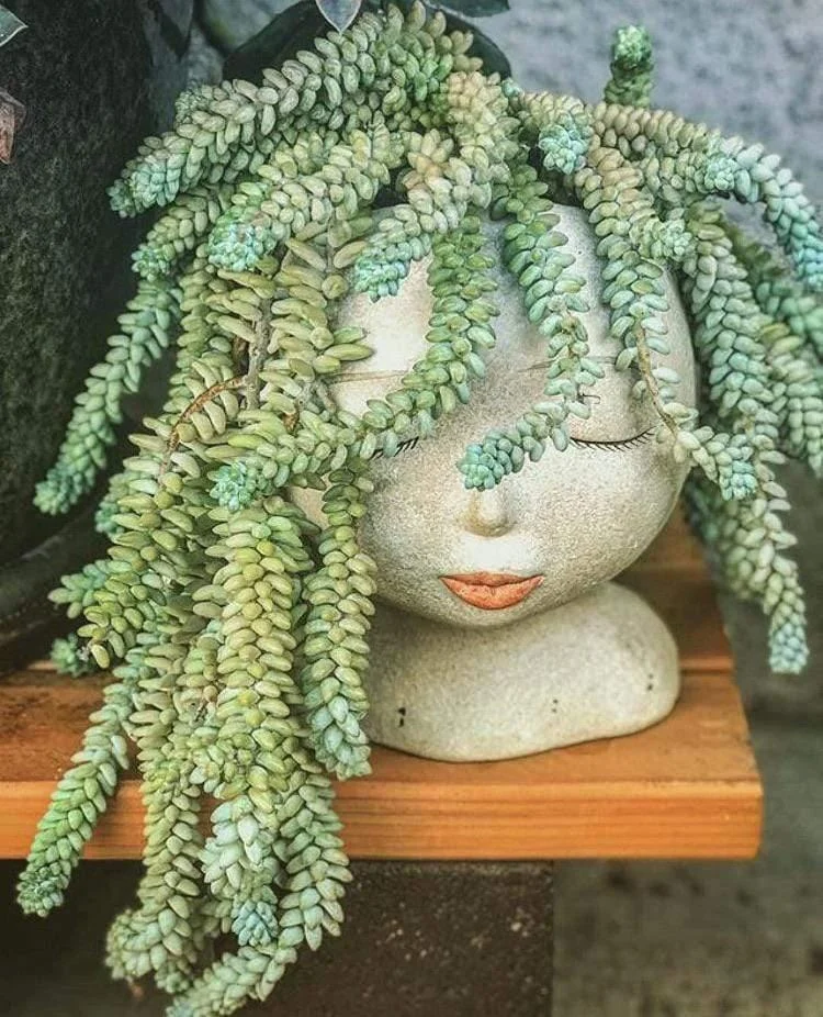 Lady Of The Flowers Head Planter - Glova