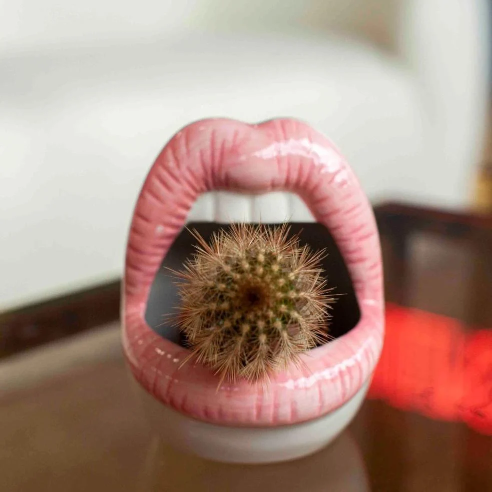 Lips Ceramic Planter - Glova