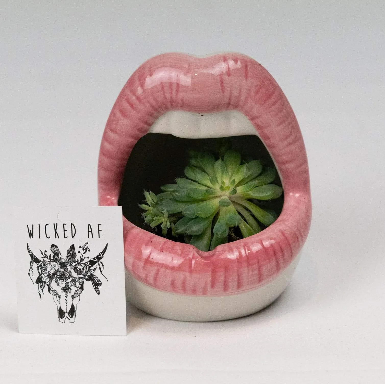 Lips Ceramic Planter - Glova